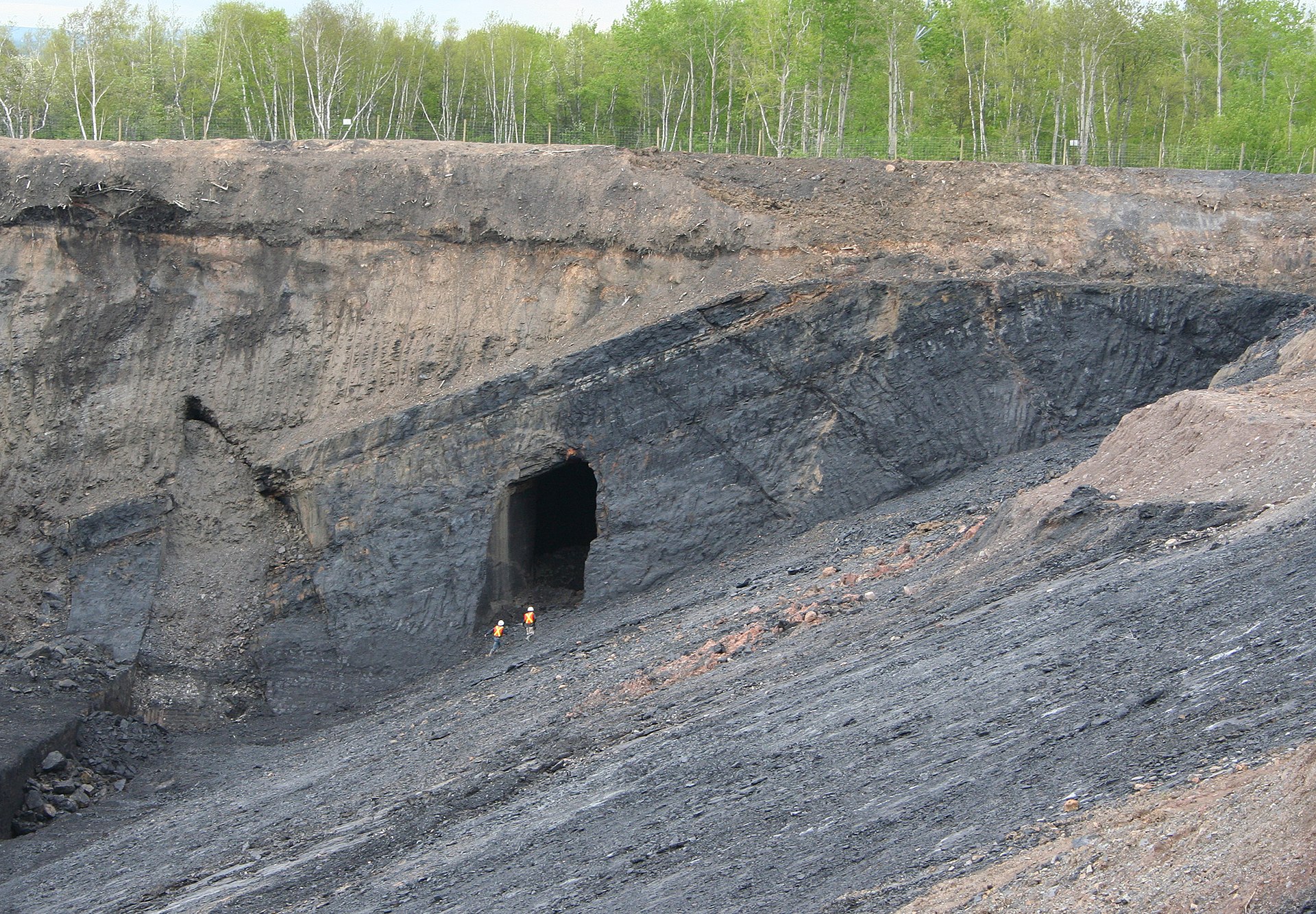 Kohleflötz in der kanadischen Stellarton-Formation. © Michael C. Rygel/ Wikipedia-Lizenz der cc gesteinsschicht
