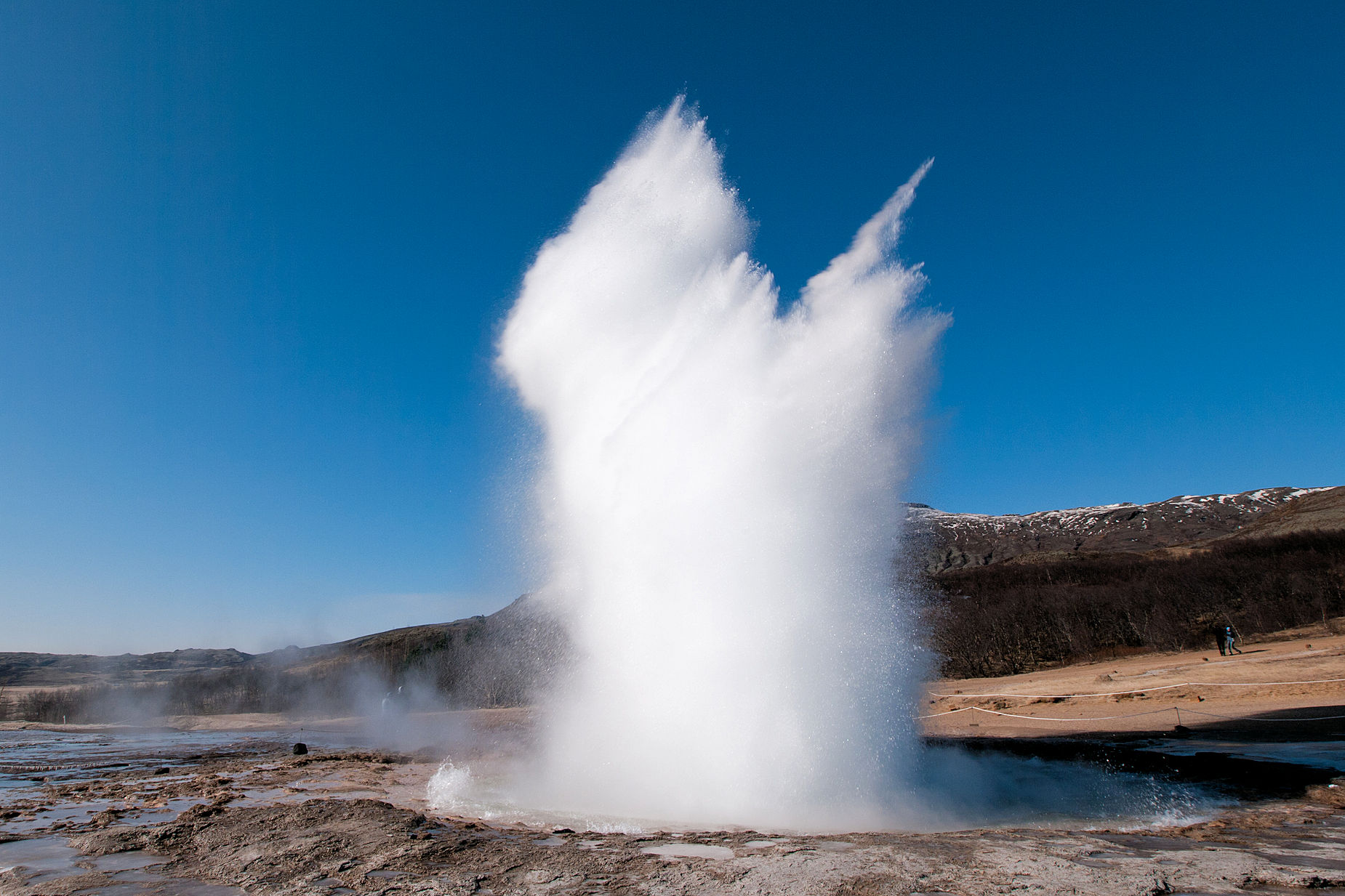 Der Strokkur auf Island.