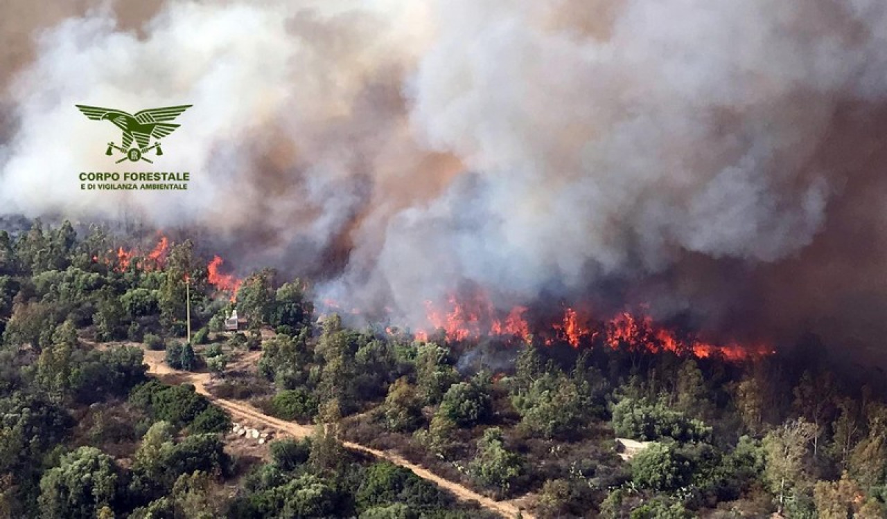 waldbrand