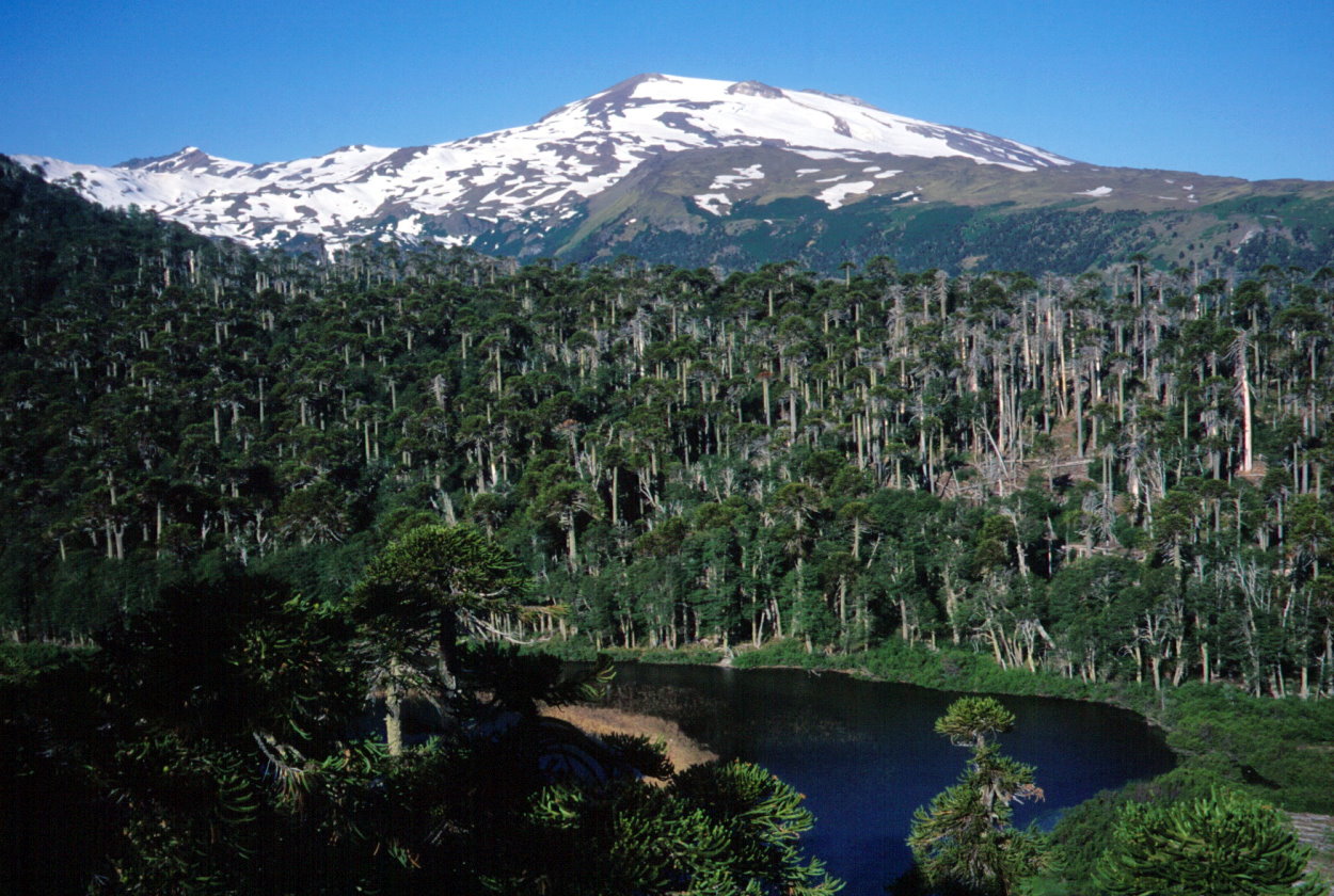 copahue
