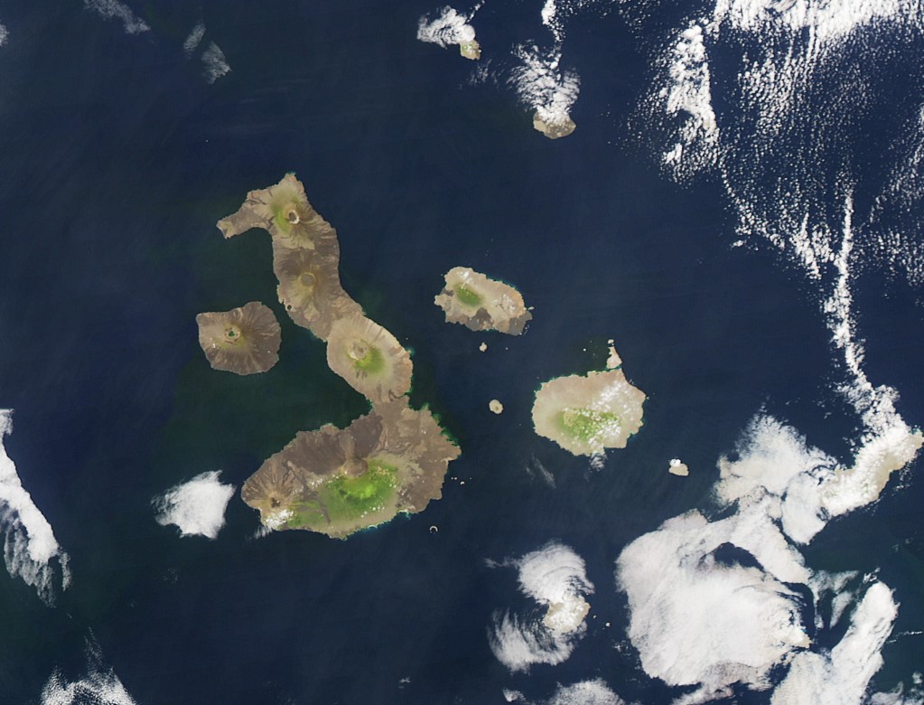 galapagos volcanoes