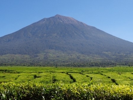 kerinci