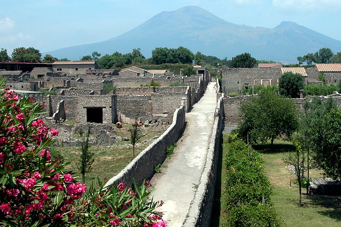 Blick über Pompeji mit Vesuv im Hintergrund