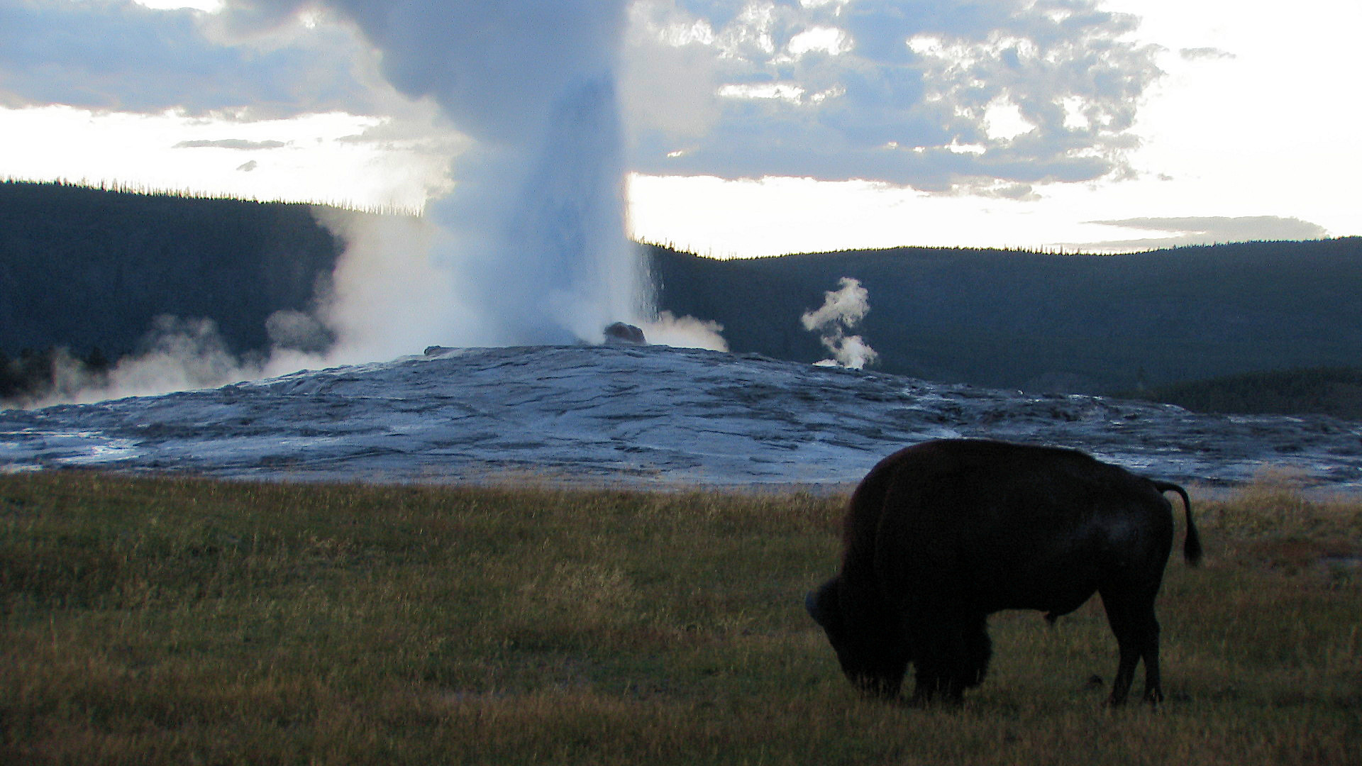 Old Faithful Geysir Faithful